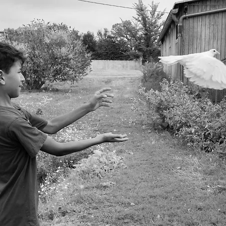 Couette-café D'hôte Dans Un Havre De Paix à La Ferme 3*