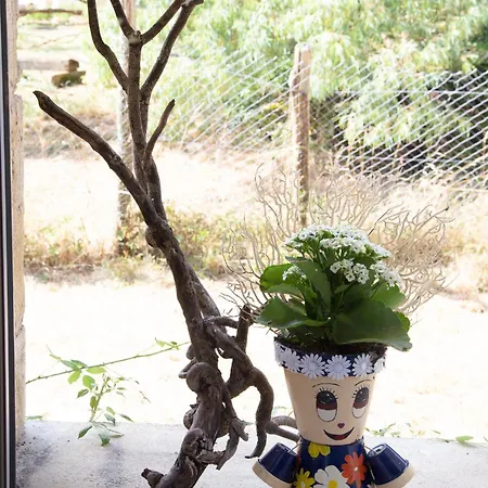 Couette-café D'hôte Dans Un Havre De Paix à La Ferme Saint-Maurice-la-Clouere