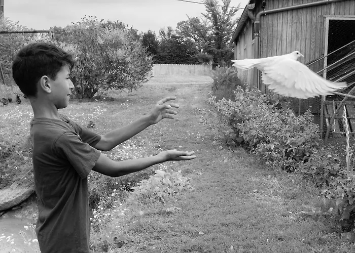 Bed and breakfast D'hote Dans Un Havre De Paix A La Ferme 3*