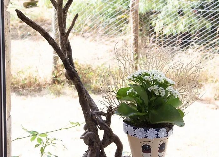 Bed and breakfast D'hote Dans Un Havre De Paix A La Ferme Saint-Maurice-la-Clouere