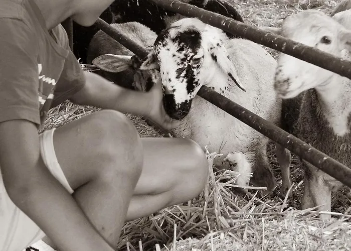 D'hote Dans Un Havre De Paix A La Ferme Bed and breakfast 3*