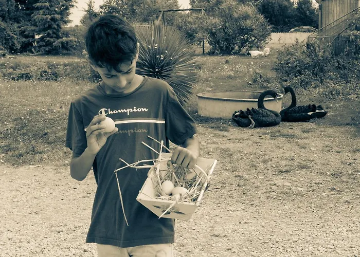 D'hote Dans Un Havre De Paix A La Ferme Saint-Maurice-la-Clouere